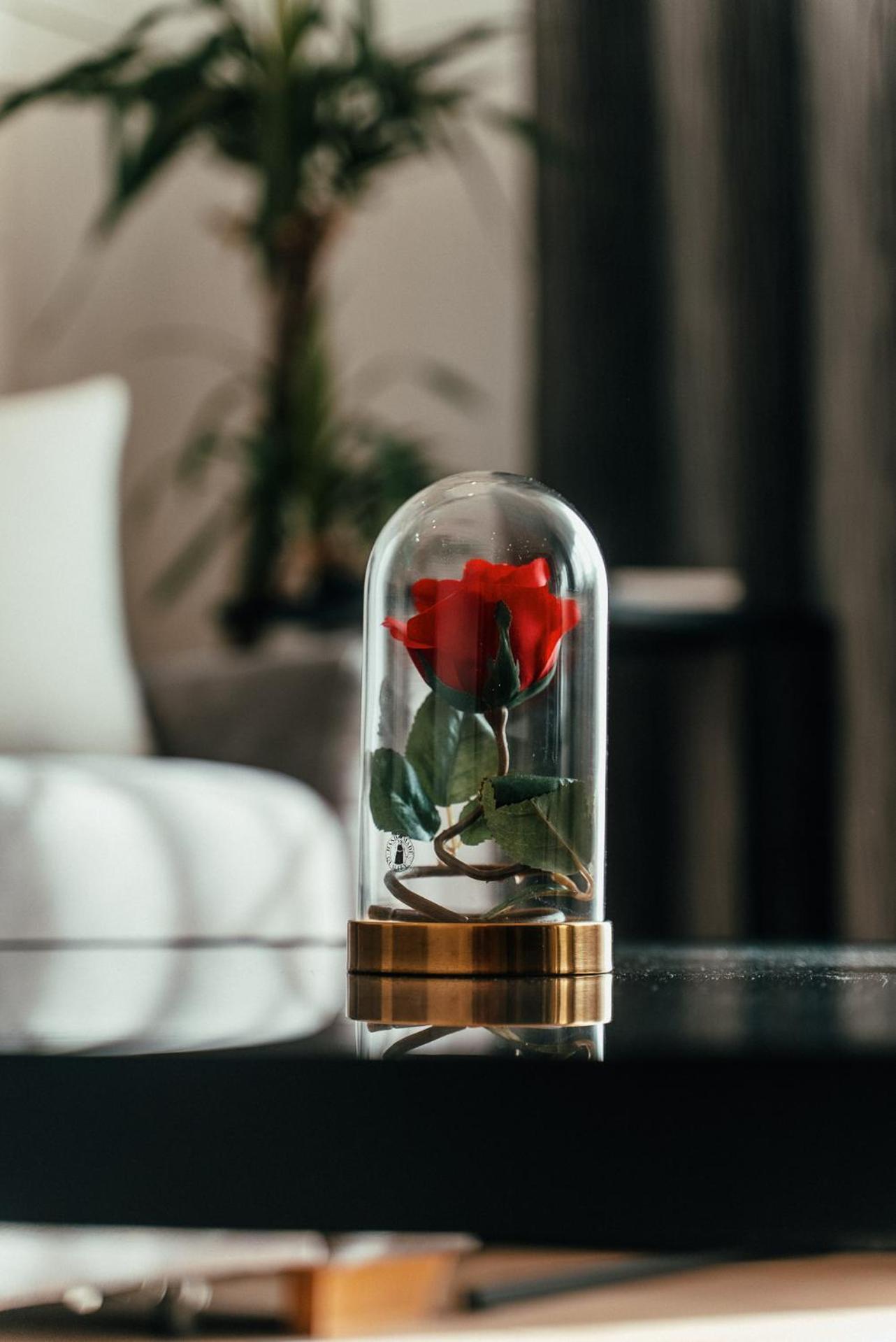 Biarritz Luxury Apartments Beograd Ngoại thất bức ảnh